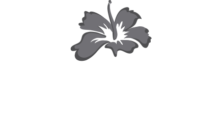 The Scott Treatment Des Concierge Logo in Top Bar